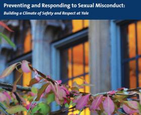 Preventing and Responding to Sexual Misconduct PDF cover links to downloadable PDF of the guide.